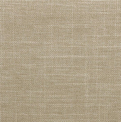 Chloe Upholstered Queen Panel Bed Oatmeal - 300007Q