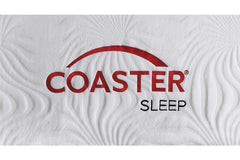 Ian 12" Queen Memory Foam Mattress White - 350065Q