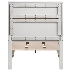 Miranda Wood Twin Storage Panel Bed White - 205111T