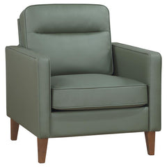 Jonah Upholstered Track Arm Accent Chair Green - 509656