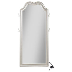 Evangeline Full Length LED Light Floor Mirror Silver Oak - 223400
