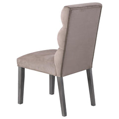 Carla Upholstered Dining Side Chair Stone (Set of 2) - 106684