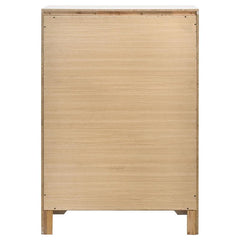 Miranda 5-drawer Chest White and Rhinestone - 205115