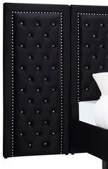 Hailey Tufted Upholstered Wall Bed Panel Black - 315925P