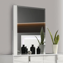 Sinistra - FM7211WH-M
