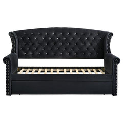 Scarlett Upholstered Twin Daybed with Trundle Black - 300642