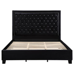 Hailey Upholstered Eastern King Panel Bed Black - 315925KE