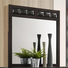 Carlton Upholstered Rectangular Dresser Mirror Cappuccino - 202094
