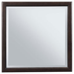Emberlyn Dresser Mirror Brown - 223064