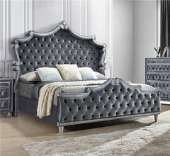 Antonella Upholstered California King Panel Bed Grey - 223581KW