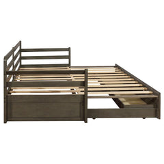 Sorrento 2-drawer Twin XL Daybed with Extension Trundle Grey - 305706