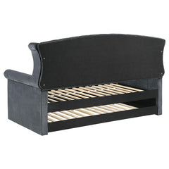 Scarlett Upholstered Twin Daybed with Trundle Grey - 300641