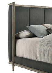 Alderwood Upholstered Queen Wingback Bed French Grey - 223121Q