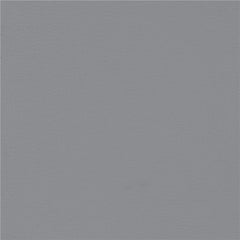 Caballo Upholstered Side Chairs Grey (Set of 2) - 110132