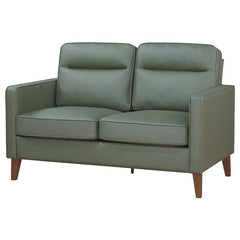 Jonah Upholstered Track Arm Loveseat Green - 509655