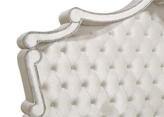 Antonella Upholstered Queen Panel Bed Ivory and Camel - 223521Q